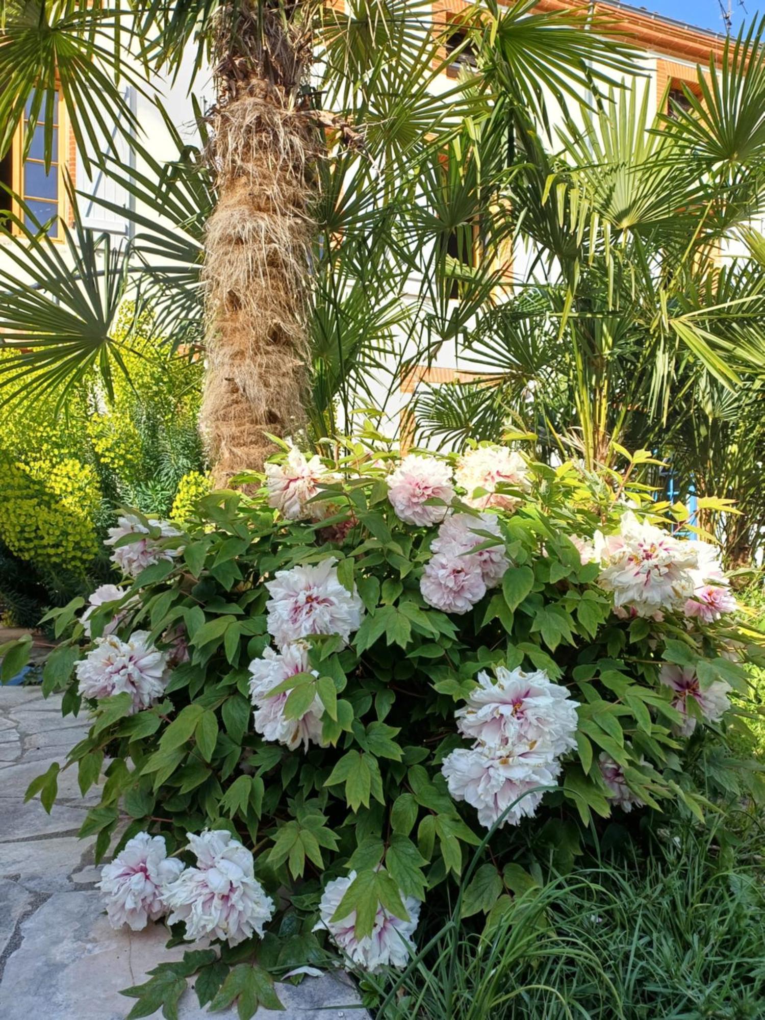 Le Relais De Lezat Hotel Exterior photo